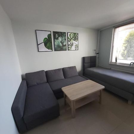 Apartament Z Ogrodem 타이치 외부 사진