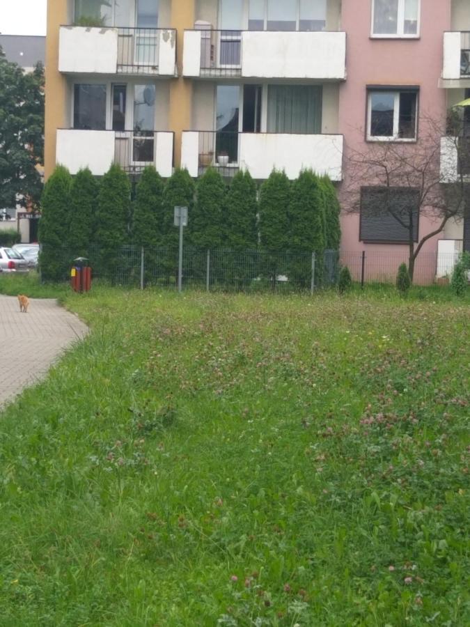 Apartament Z Ogrodem 타이치 외부 사진
