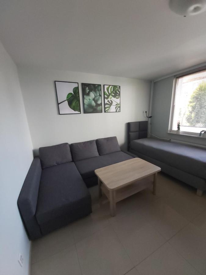 Apartament Z Ogrodem 타이치 외부 사진